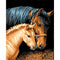 Uma Redonda 15 X 20 Cm