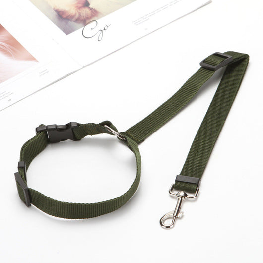 Correa de Seguridad para Mascotas en Auto - Image 19