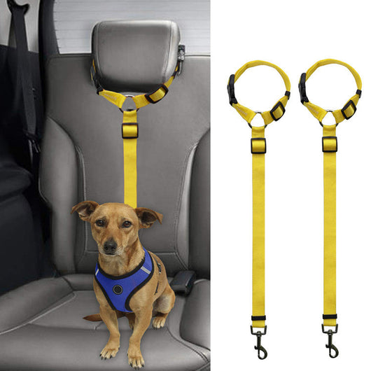 Correa de Seguridad para Mascotas en Auto - Image 20