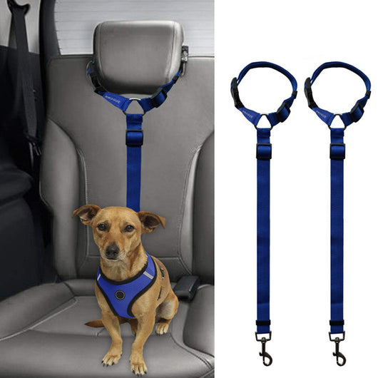 Correa de Seguridad para Mascotas en Auto - Image 25