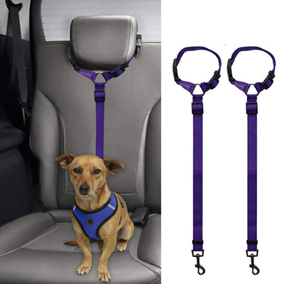 Correa de Seguridad para Mascotas en Auto - Image 3