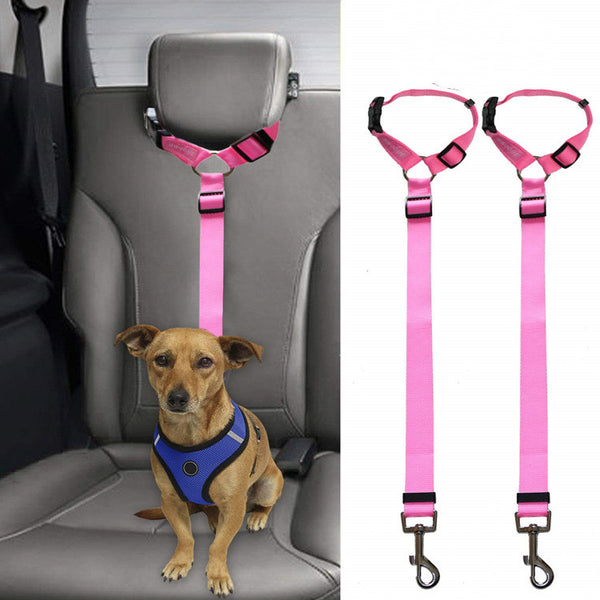 Correa de Seguridad para Mascotas en Auto