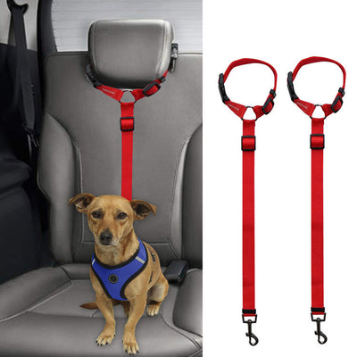 Correa de Seguridad para Mascotas en Auto - Image 8