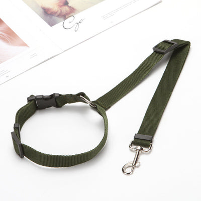 Correa de Seguridad para Mascotas en Auto - Image 9