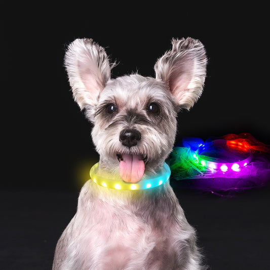 Collar LED Recargable para Perros Anti-Pérdida con Carga USB