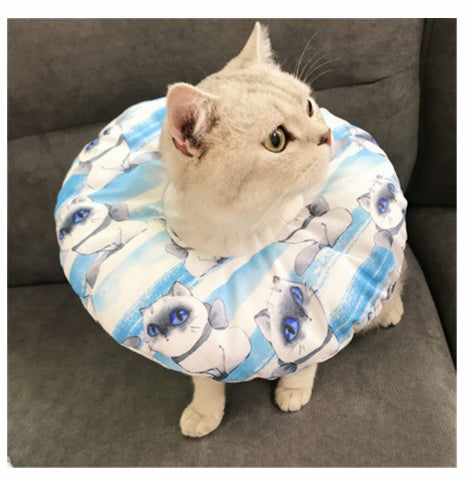Protector Bucal Impermeable para Mascotas - Antimordedera y Antiarañazos - Image 17