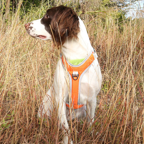 Arnés de Pecho y Espalda Ajustable para Perros Grandes - Sistema de Correa para Trekking Outdoor