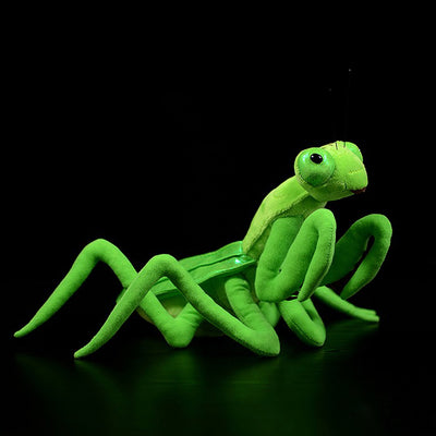 Peluche Mantis Realista - Juguete de Felpa Suave para Niños - Image 14