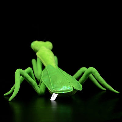 Peluche Mantis Realista - Juguete de Felpa Suave para Niños - Image 20