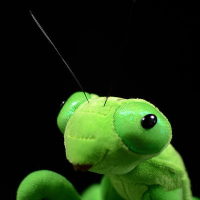 Peluche Mantis Realista - Juguete de Felpa Suave para Niños - Image 21