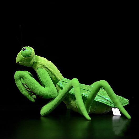 Peluche Mantis Realista - Juguete de Felpa Suave para Niños - Image 6
