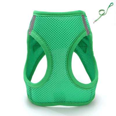 Arnés de Pecho Estilo Chaleco para Gatos - Image 17