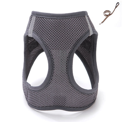 Arnés de Pecho Estilo Chaleco para Gatos - Image 19