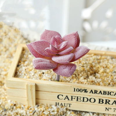 Suculentas Artificiales Purple Flocking 39 Estilos