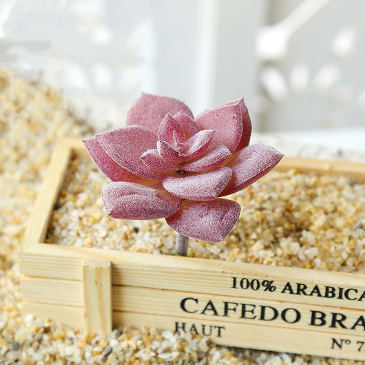 Suculentas Artificiales Purple Flocking 39 Estilos