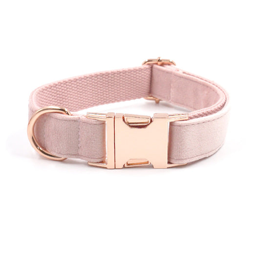 Collar y Correa para Mascotas Terciopelo Oro Rosa - Image 9
