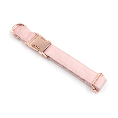 Collar y Correa para Mascotas Terciopelo Oro Rosa - Image 6