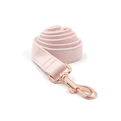 Collar y Correa para Mascotas Terciopelo Oro Rosa - Image 8