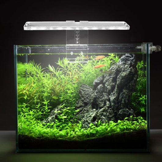 Iluminación LED para Acuarios - Image 3