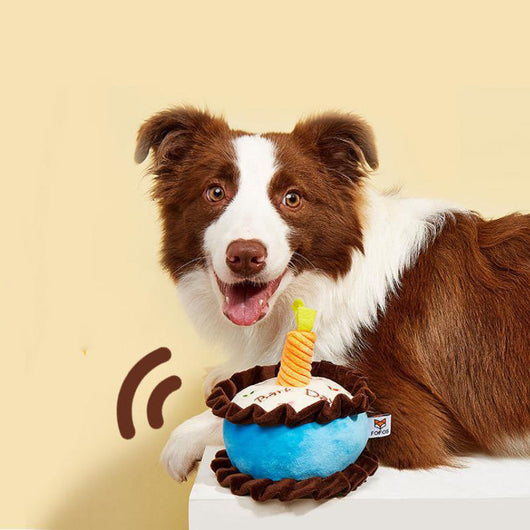 Juguete de Pastel de Cumpleaños para Gatos con Sonido y Hierba Gatera Resistente - Image 8