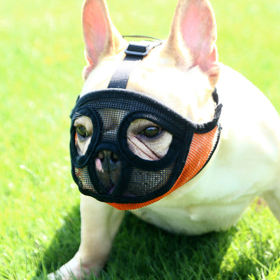 Bozal Respirador Ajustable para Perros Pequeños y Bulldogs Franceses - Image 2