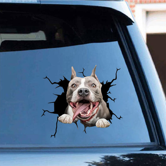Pegatinas Decorativas de Mascotas Simuladas