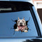 Pegatinas Decorativas de Mascotas Simuladas
