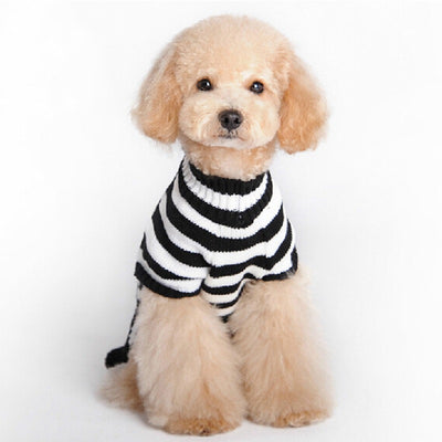 Suéter Halloween para Perros con Diseño Calavera - Image 2