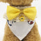 Collar Elegante para Mascotas con Moño Desacoplable