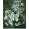 Quadro Digital Óleo Faça Você Mesmo para Sala de Estar - Pintura Decorativa sem Moldura