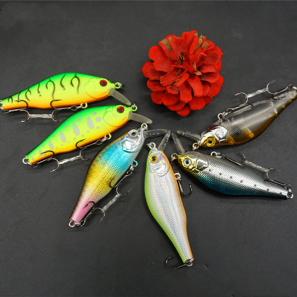 Señuelo Biónico de Hundimiento Lento para Pesca de Bagre y Lucio