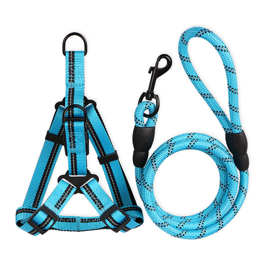Correa y Collar para Perros Medianos - Golden Retriever y Razas Similares - Image 15