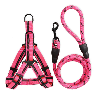 Correa y Collar para Perros Medianos - Golden Retriever y Razas Similares - Image 19