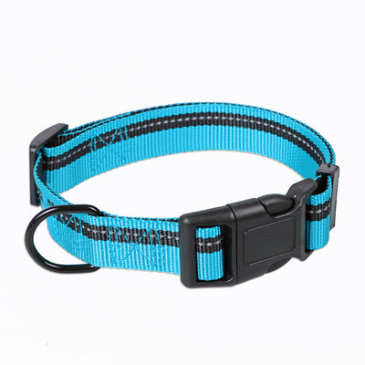 Correa y Collar para Perros Medianos - Golden Retriever y Razas Similares - Image 17