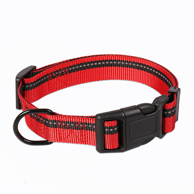 Correa y Collar para Perros Medianos - Golden Retriever y Razas Similares - Image 18