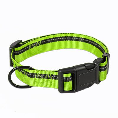 Correa y Collar para Perros Medianos - Golden Retriever y Razas Similares - Image 21