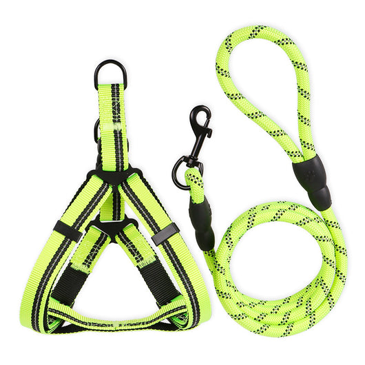 Correa y Collar para Perros Medianos - Golden Retriever y Razas Similares - Image 3