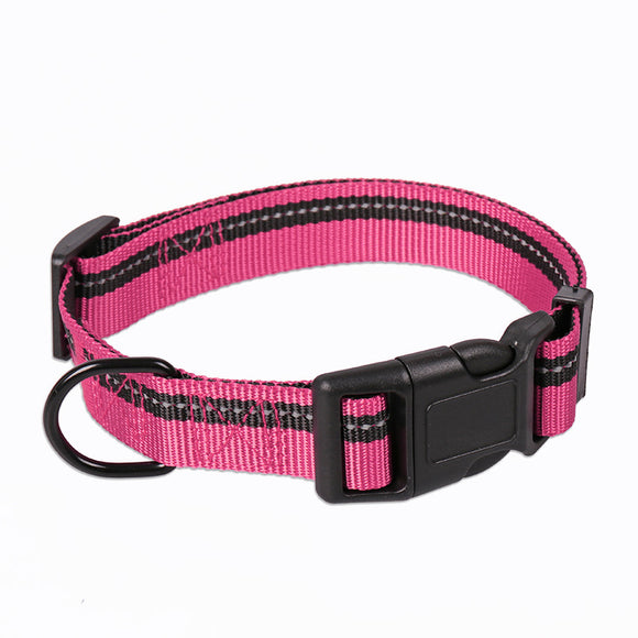 Correa y Collar para Perros Medianos - Golden Retriever y Razas Similares