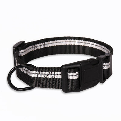 Correa y Collar para Perros Medianos - Golden Retriever y Razas Similares - Image 8