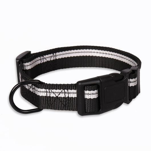 Correa y Collar para Perros Medianos - Golden Retriever y Razas Similares - Image 8