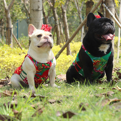 Chaleco Fresco Étnico para Perros Pug y Schnauzer con Protección Solar - Image 11