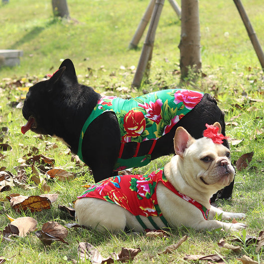Chaleco Fresco Étnico para Perros Pug y Schnauzer con Protección Solar - Image 12