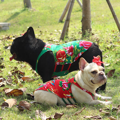 Chaleco Fresco Étnico para Perros Pug y Schnauzer con Protección Solar - Image 3