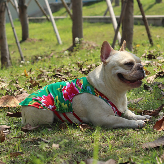 Chaleco Fresco Étnico para Perros Pug y Schnauzer con Protección Solar - Image 4