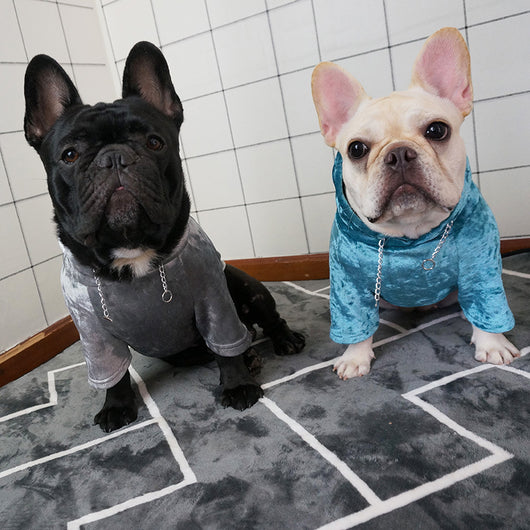 Suéter Polar con Capucha para Perros y Gatos Pequeños - Abrigo de Otoño e Invierno - Image 8