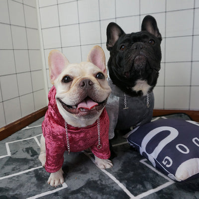 Suéter Polar con Capucha para Perros y Gatos Pequeños - Abrigo de Otoño e Invierno - Image 9