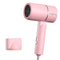Rosa 300 W 220 V EE. UU.
