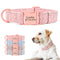 Collar Antipérdida para Perros con Grabado Personalizado y Correa de Tracción