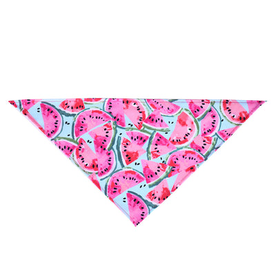 Pañoleta Triangular para Mascotas Diseño Donas Verano - Image 8