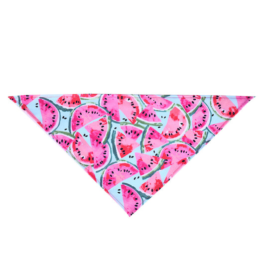 Pañoleta Triangular para Mascotas Diseño Donas Verano - Image 8